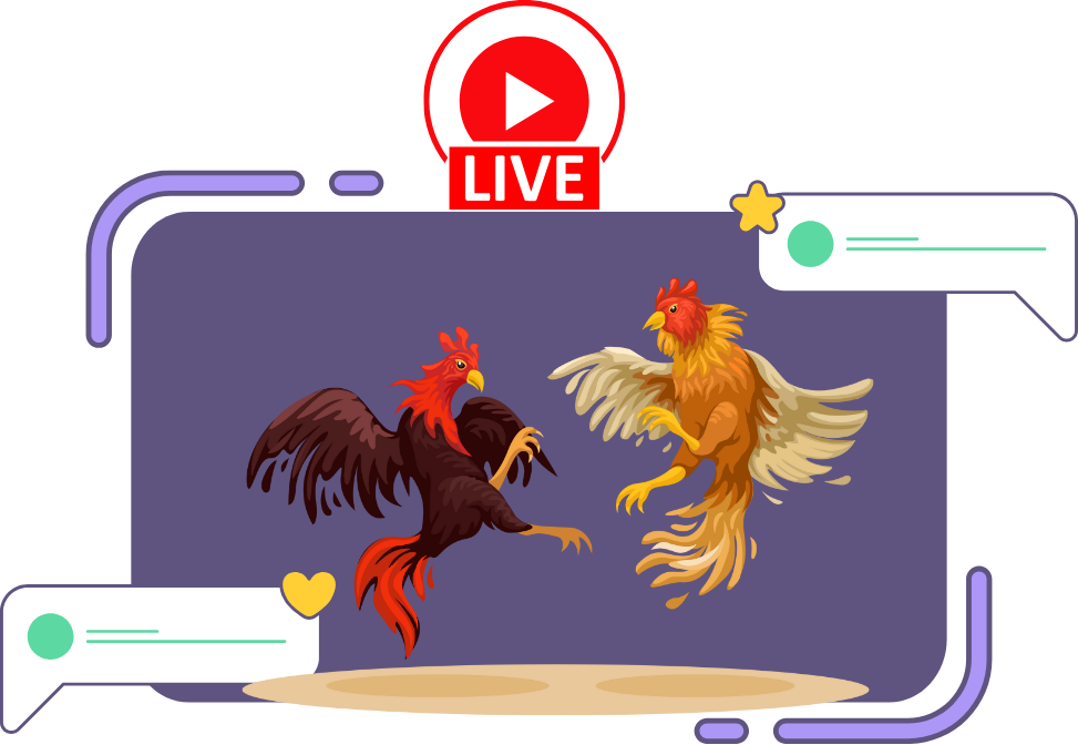 LUCKY6868.LIVE - CASINO TONHON | Đá Gà Livestream